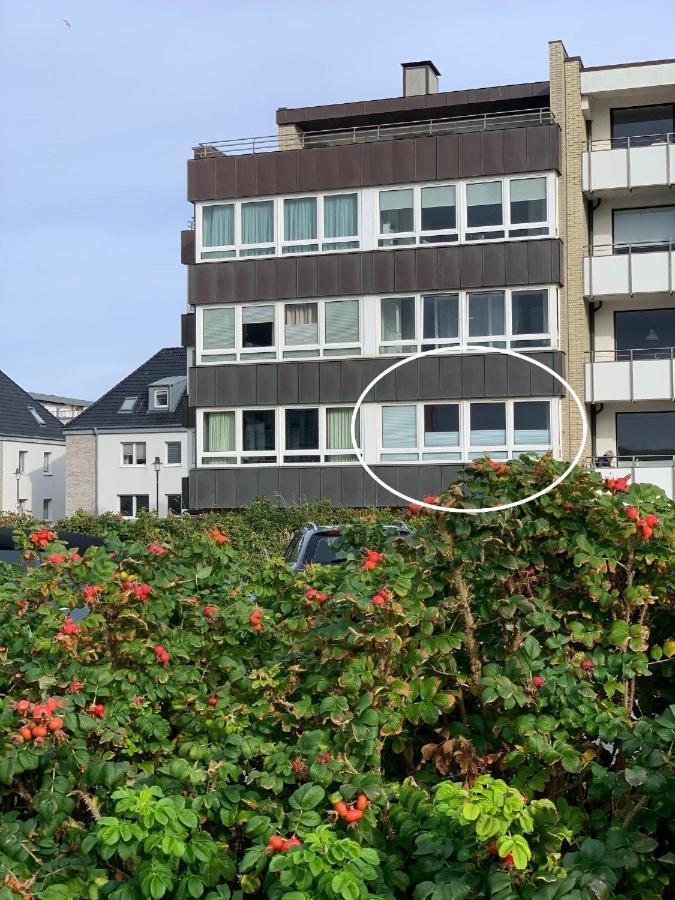 Moin Apartment *